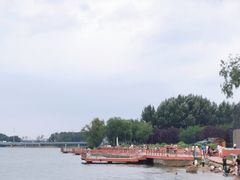 -丁香湖公园