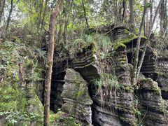 -梭布垭石林景区