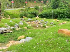 -黄埔油麻山森林公园