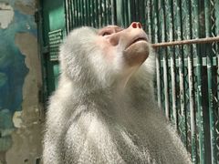 -无锡动物园·太湖欢乐园