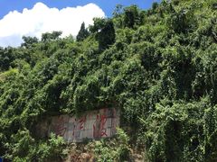 江龙饭店-江龙饭店·乌江豆腐鱼(乌江站分店)