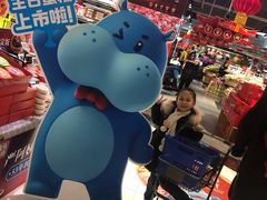 -盒马鲜生(金桥国际广场店)