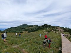 -白草畔自然风景区