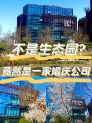 -保定金沙芝柏婚礼策划