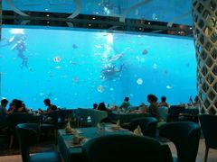 -瑞德姆美人鱼海底演艺主题餐厅(亚龙湾店)