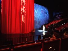 -重庆国际马戏城