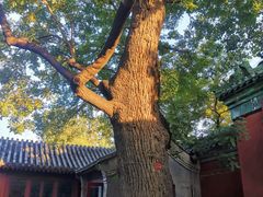 -历代帝王庙博物馆