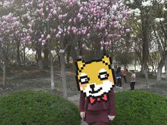 -昆山城市生态森林公园