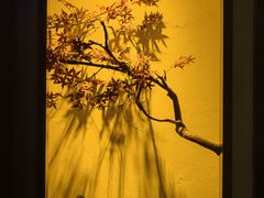 -解家河南菜(金水路店)