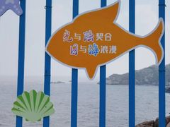 -东极岛景区