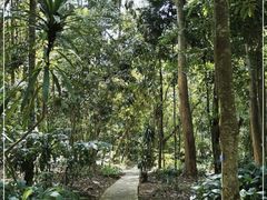 -中国科学院西双版纳热带植物园
