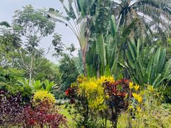 -中国科学院西双版纳热带植物园