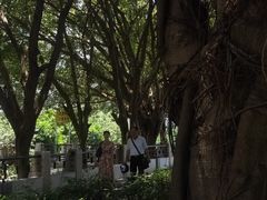 -黄埔古港