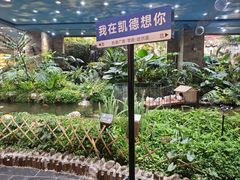 -凯德广场(学府店)