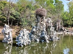 -合肥野生动物园