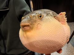 -永安鱼庄·镇江菜(东吴路店)