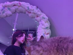 -极木²邸 人与宠物·互动社区
