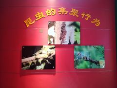 -上海昆虫博物馆