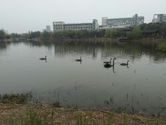 -江南大学(蠡湖校区)