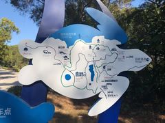 -广东惠东海龟国家级自然保护区