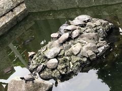 -成田山新胜寺
