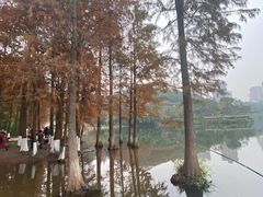 -重庆彩云湖湿地公园