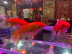 -粗粮人家·东北菜(洋桥店)