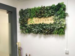 -绿房子心理咨询