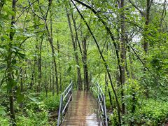 -峡谷浮石林景区