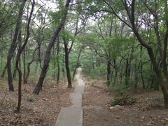 -小田乌鱼排(济宁总店)