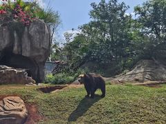 -海南热带野生动植物园