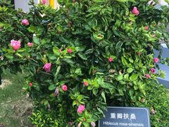 -厦门悦华酒店