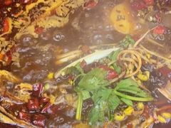 -蛙老爹·蜀香美蛙鱼头(王家湾店)