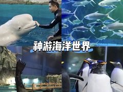 -威海华夏城景区