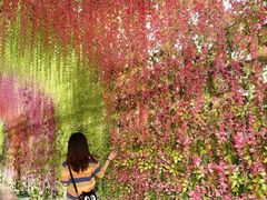 -济南方特东方神画