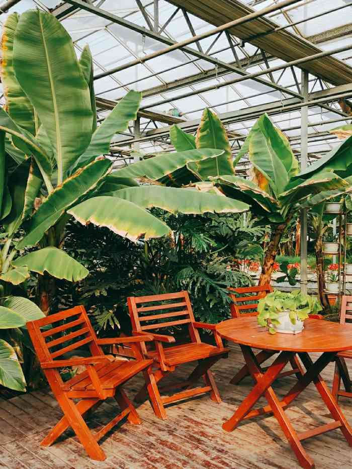 晶宝温泉农庄-"今天驱车前往,草莓刚开棚,带娃去采摘了一.