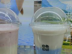 -白色日记·手作酸奶(麦凯乐店)