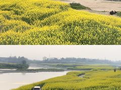 -两河城市森林公园