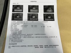 -伟伟宠物医院·CT影像中心·瑞派犬猫综合性门诊(汉口总院)