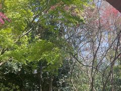 -东明山森林公园