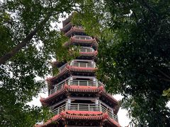 -红花山公园