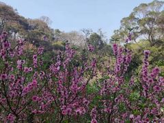 -桃花涧