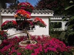 -广州市白云山风景名胜区