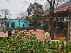 -无锡动物园·太湖欢乐园
