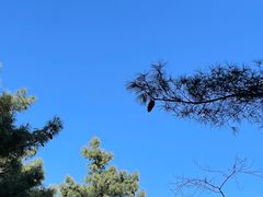 -苍山感通索道
