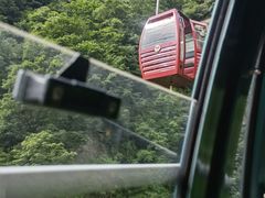 -王顺山国家森林公园