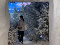 -精绝七日-新疆尼雅遗址数字大展【拉法耶文化艺术中心】