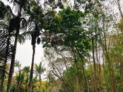 -中国科学院西双版纳热带植物园