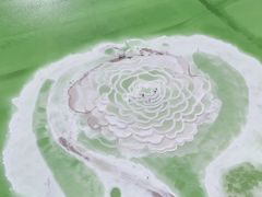 -察尔汗盐湖