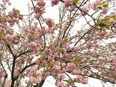 -白塘生态植物园